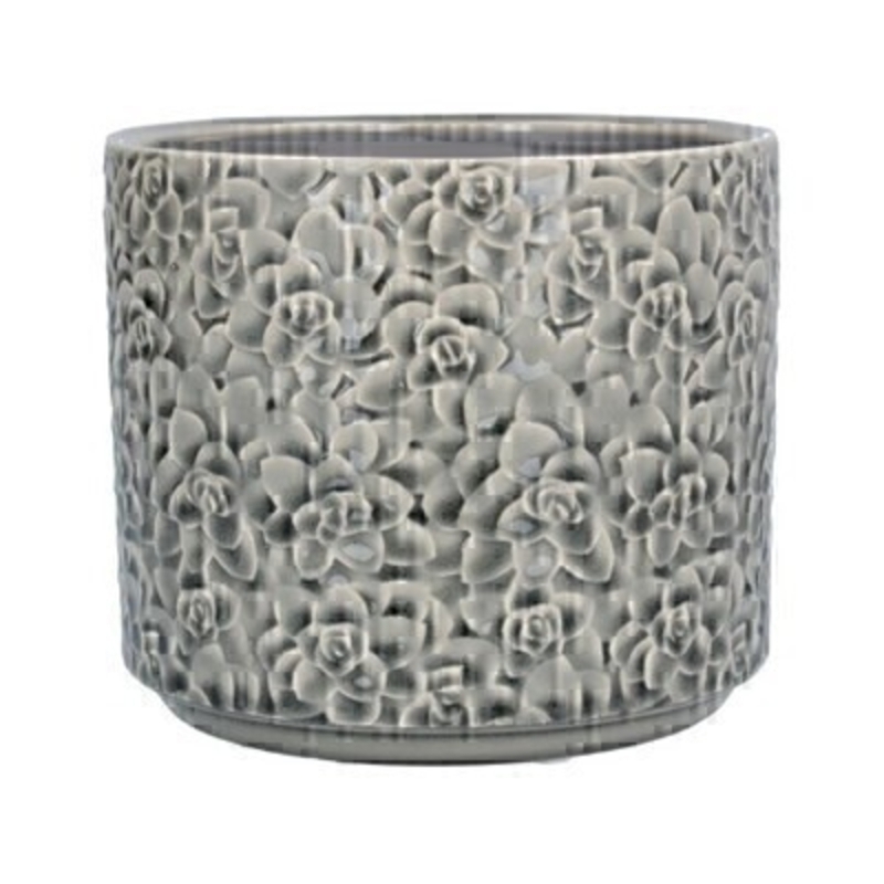 Medium Grey Succulents Ceramic Pot Cover By Gisela Graham Medium Grey ceramic pot cover with Succulent design by the designer Gisela Graham who designs really beautiful gifts for your home and garden. Suitable for an artifical or real plant. Great to show off your plants and would make an ideal gift for a gardener or someone who likes plants. Also comes available in other sizes. This is the Medium pot cover.